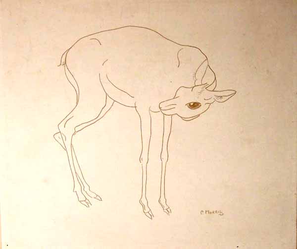 A Deer of Sorts